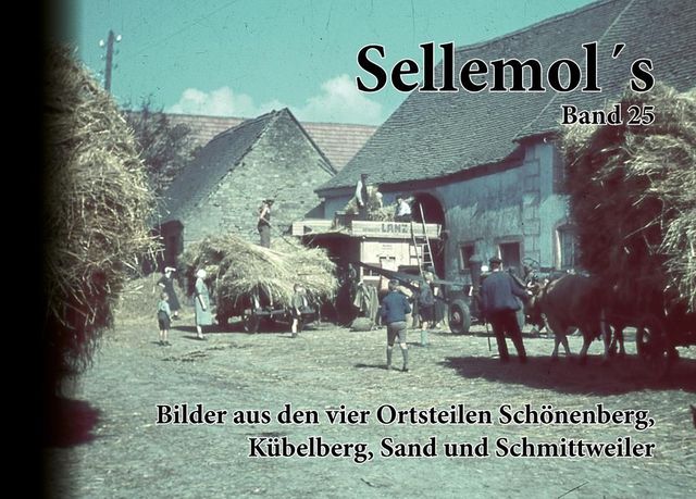Buchcover Sellemol´s Band 25