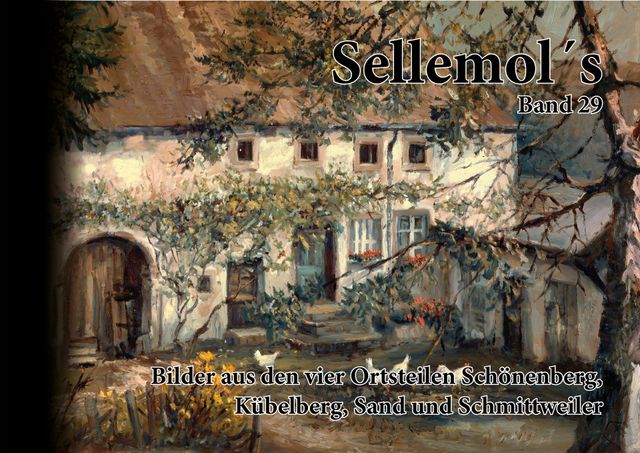 Buchcover Sellemol´s Band 29